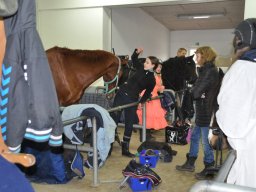 DSC_0232_web